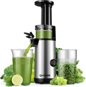 GDOR Compact Masticating Juicer with Powerful 60NM DC Motor